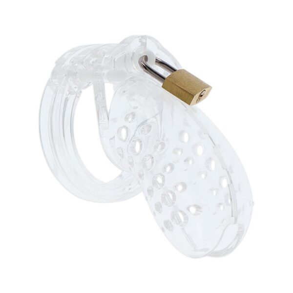 Hidden Desire Extreme Chastity Cock Cage – Ultimate Male Locking Device for Total Control
