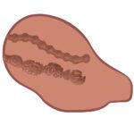 Experience Ultimate Pleasure with Bangers Big Ass Banger Black Vibrating Masturbator - Image 5