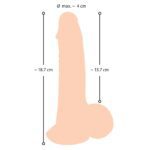 Realistic Nature Skin Dildo with Movable Skin - 19cm Pleasure Toy - Image 4