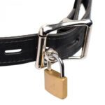 Master Series Musk Athletic Cup Muzzle - Ultimate Comfort and Performance for Active Dogs - Image 4