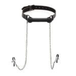 XR Silicone Bit Gag with Nipple Clamps - Ultimate BDSM Pleasure Gear