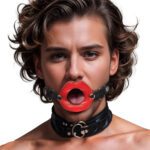 Juicy Lips Silicone Open Mouth Gag - Ultimate Sensory Play for Couples - Image 2