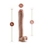Dr. Skin Mr. Ed 13 Inch Realistic Dildo with Balls - Ultimate Pleasure Toy - Image 2