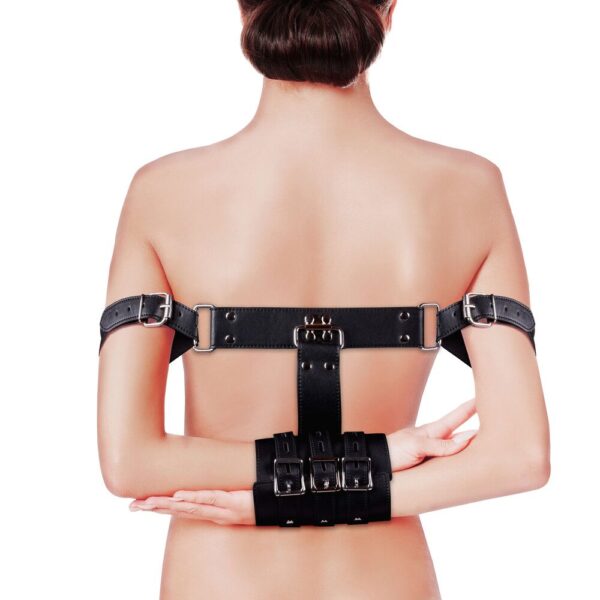 Complete Arm Restraints for Secure and Comfortable Immobilization