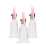 Ultimate Pumped Clitoral and Nipple Pump Set for Enhanced Pleasure - Image 3