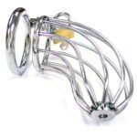 Rouge Stainless Steel Chastity Cock Cage with Padlock - Ultimate Male Restraint Device - Image 2