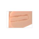 Pipe Dream EZ Bang Torso: Ultimate Realistic Pleasure for Unforgettable Experiences - Image 4