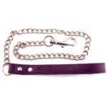 Rouge Garments Purple Lead: Stylish and Durable Dog Leash for Trendy Pet Owners