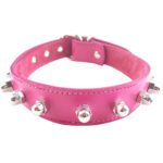 Shop Rouge Garments Pink Nut Collar - Stylish & Unique Fashion Accessory