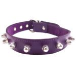 Shop Rouge Garments Purple Nut Collar - Stylish & Unique Accessory for Every Occasion