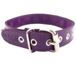 Shop Rouge Garments Purple Nut Collar - Stylish & Unique Accessory for Every Occasion - Image 3