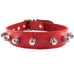 Rouge Garments Red Nut Collar - Stylish and Unique Fashion Accessory