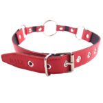 Rouge Garments Red O Ring Gag - Premium BDSM Accessory for Intense Play - Image 3