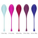 Ultimate Kegel Training Set: Tighten and Tone with 5 Essential Pieces - Image 3