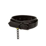 Boundless Collar and Leash: Ultimate Comfort and Control for Your Pet - Image 2