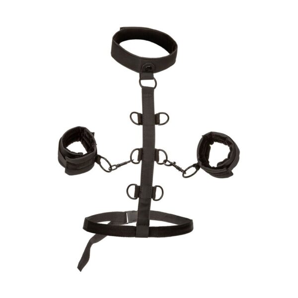 Boundless Collar Body Restraint – Adjustable Bondage Harness for Enhanced Play