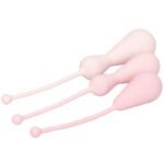 Inspire Weighted Silicone Kegel Training Kit - Image 4