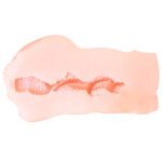 Utensil Race Rola Masturbator: Ultimate Pleasure Tool for Enhanced Solo Play - Image 3