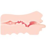 Zero Tolerance Real Mouth Masturbator - Ultimate Realistic Pleasure Experience - Image 3