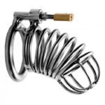Master Series Bastille Penile Confinement Cage - Image 2