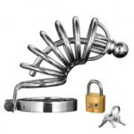 Master Series Asylum 6 Ring Locking Chastity Cage - Ultimate BDSM Restraint for Enhanced Pleasure