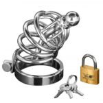 Master Series Asylum 4 Ring Locking Chastity Cage - Ultimate BDSM Restraint for Enhanced Pleasure - Image 2