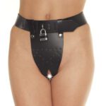 Premium Leather Chastity Brief for Ultimate Comfort and Control - Image 2