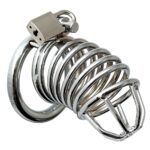 Premium Chrome Chastity Cock Cage for Ultimate Control and Comfort - Image 2