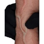 Lovetoy 7.5-Inch Dual Layered Silicone Dildo - Ultimate Pleasure Toy - Image 2