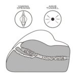 Lovetoy Streetgirls Number 3 Flesh Pink Masturbator - Ultimate Pleasure Toy - Image 4