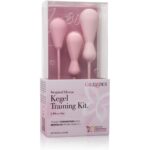 Inspire Weighted Silicone Kegel Training Kit - Image 5