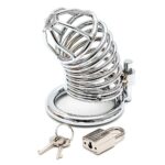 Premium Chrome Chastity Cock Cage for Ultimate Control and Comfort - Image 3